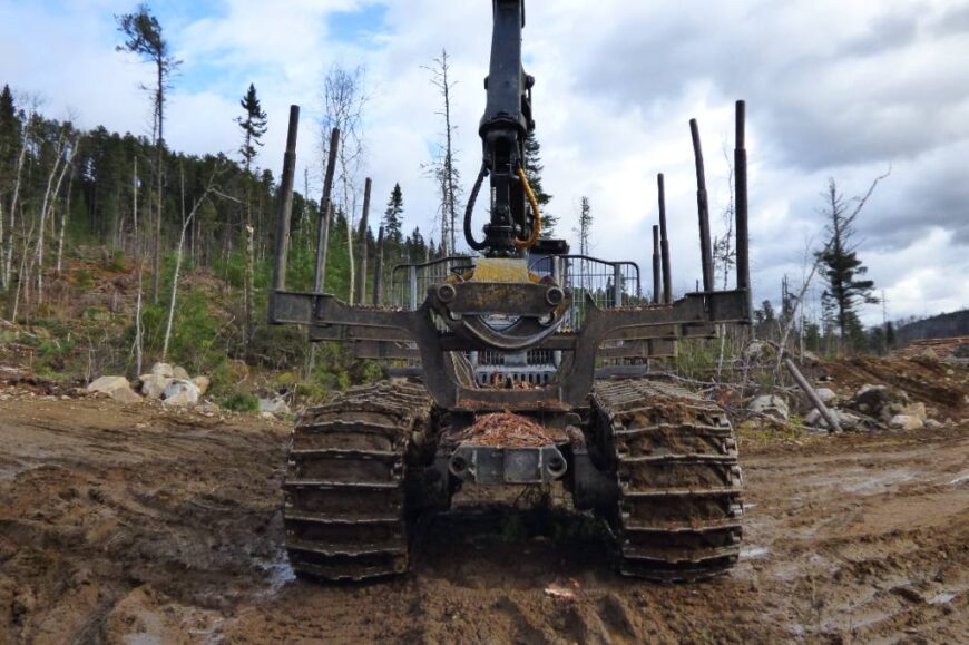 2021 Ponsse Elephant King Transporteur – Image 18