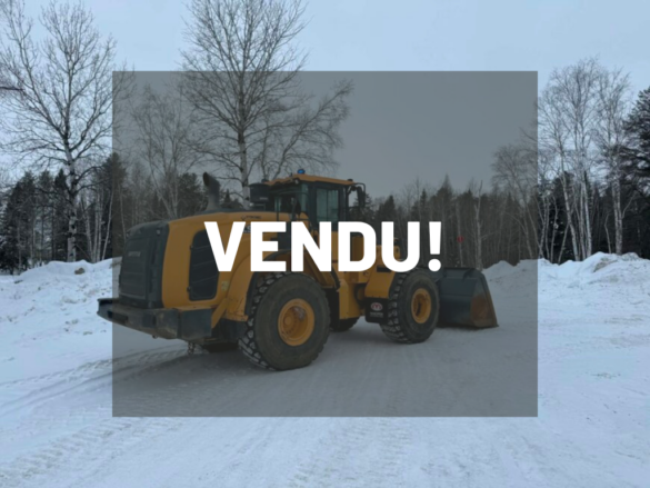 2019 Hyundai HL970 Chargeur sur roues  8 799 heures